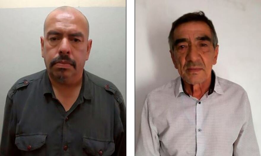 Παπαγάλος θα... «καταθέσει» για υπόθεση βιασμού και δολοφονίας στην Αργεντινή!