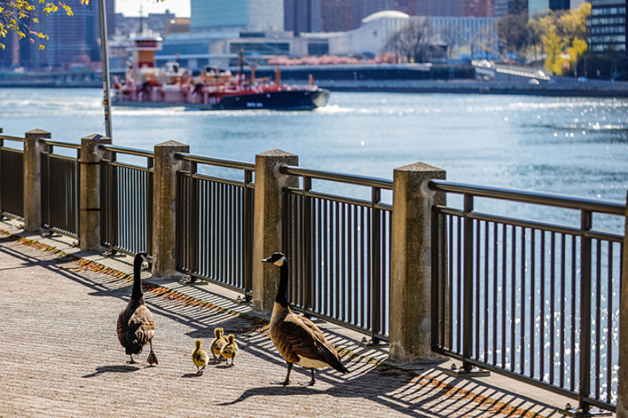 Ένας άλλος πλανήτης είναι εφικτός, αποδεδειγμένα!