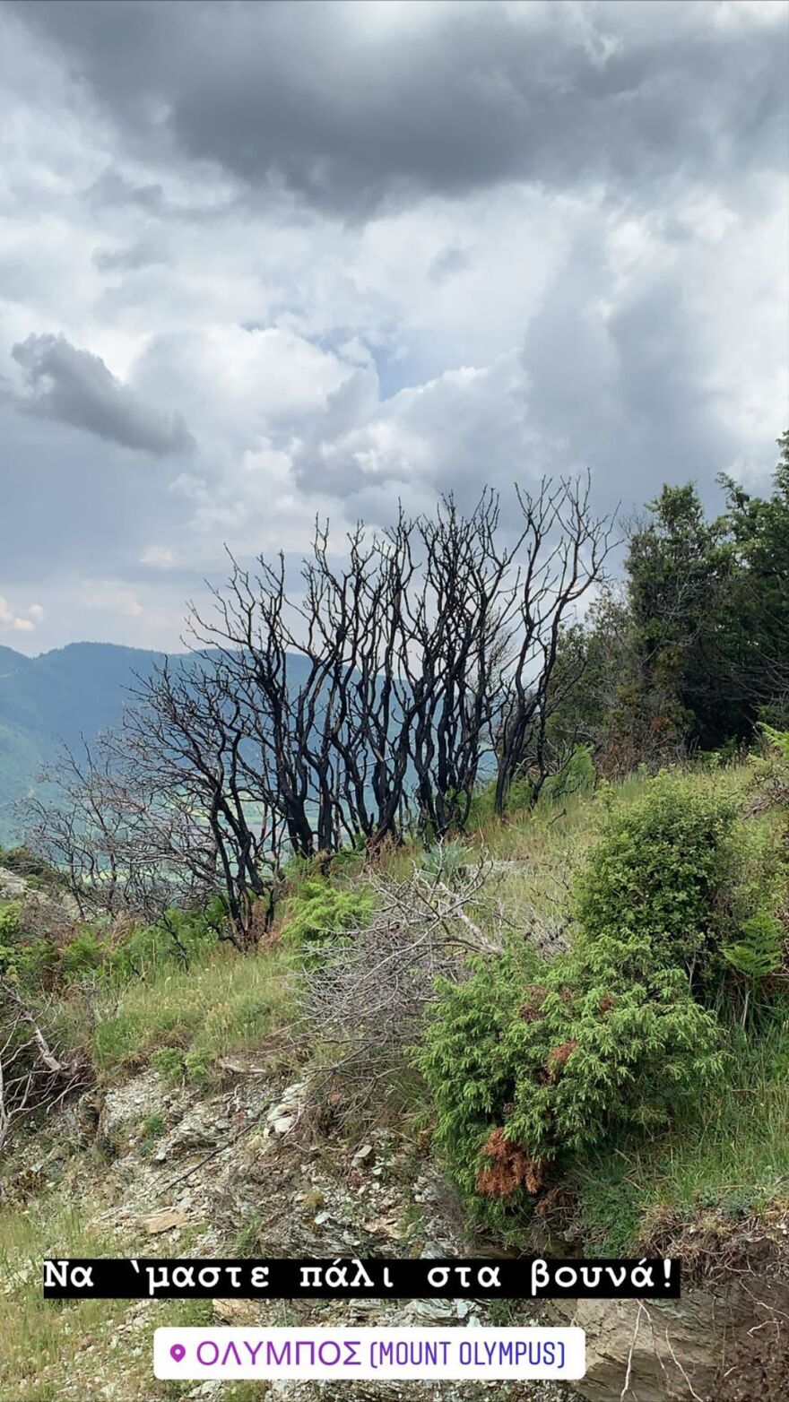 Φωτογραφίες: Η Ζέτα Μακρυπούλια... πήρε τα βουνά μαζί με την παρέα της 