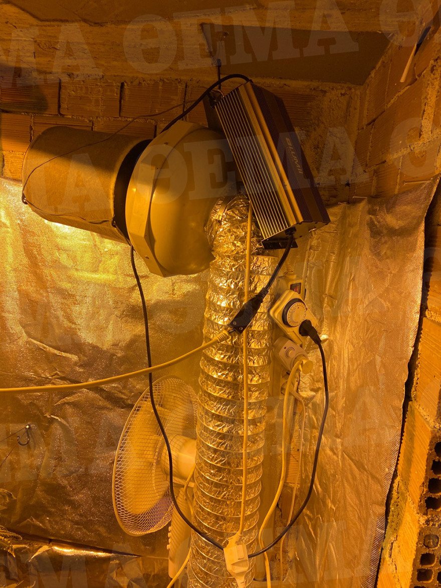 Πειραιάς: «Μαριχουάνα Στοπ» σε διαμέρισμα - φυτεία