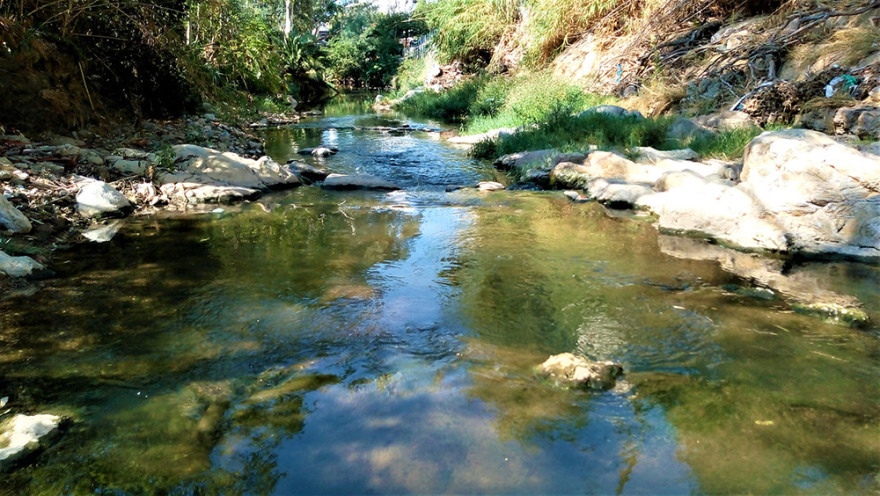 ΚΙΝΑΛ: «Εξερεύνηση» στον ποταμό Ποδονίφτη διοργάνωσε ο Τομέας Περιβάλλοντος