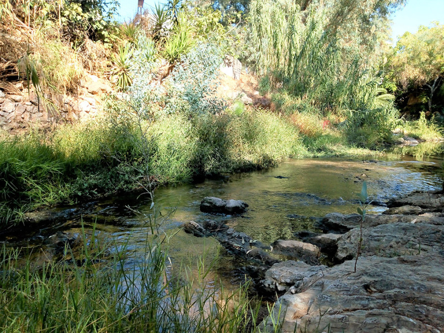 ΚΙΝΑΛ: «Εξερεύνηση» στον ποταμό Ποδονίφτη διοργάνωσε ο Τομέας Περιβάλλοντος