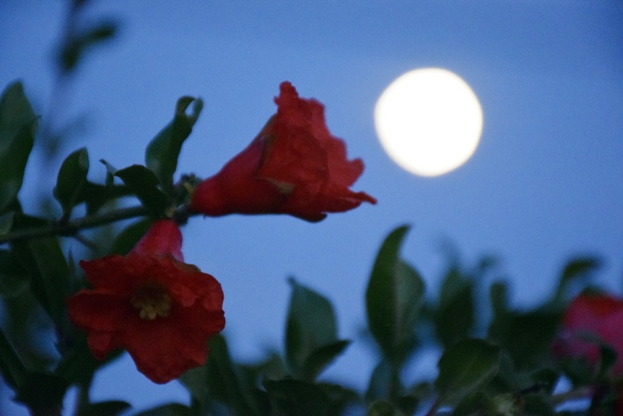 Εντυπωσιακές εικόνες από την πανσέληνο 