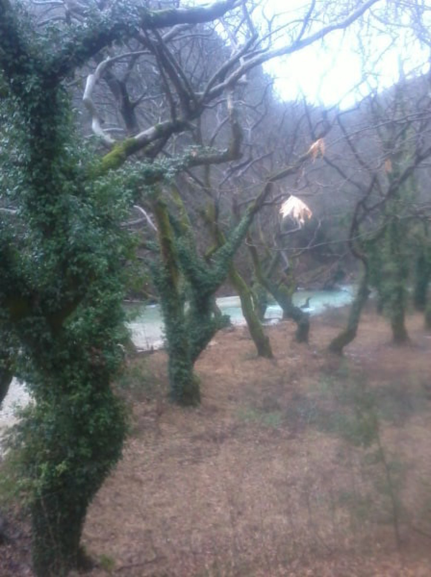 Ζαραβίνα: Η μαγευτική λίμνη των θρύλων στο Πωγώνι του νομού Ιωαννίνων