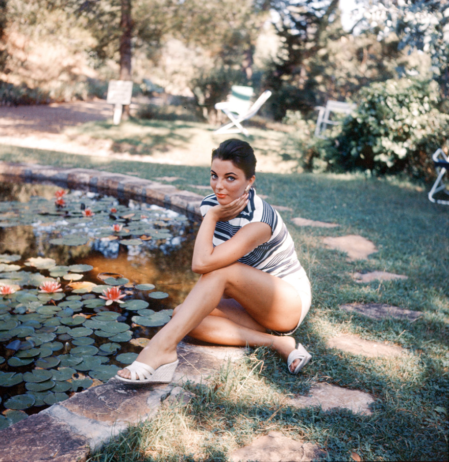 Τζόαν Κόλινς: Για πάντα Alexis