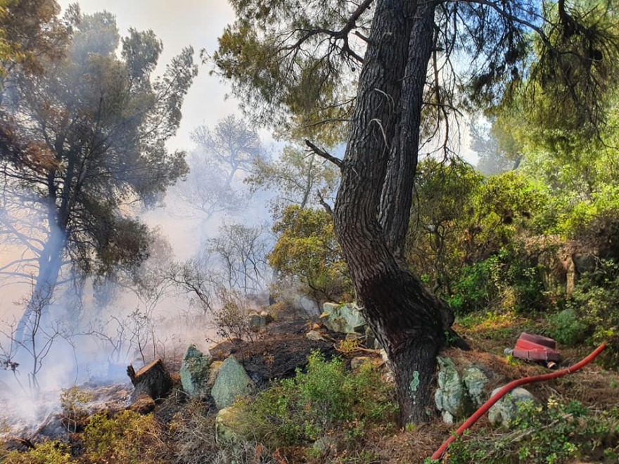 Πυρκαγιά στη Χαλκιδική: Υπό έλεγχο η φωτιά στη Σιθωνία 