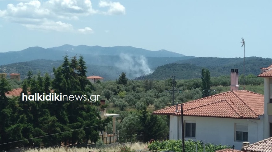 Πυρκαγιά στη Χαλκιδική: Υπό έλεγχο η φωτιά στη Σιθωνία 