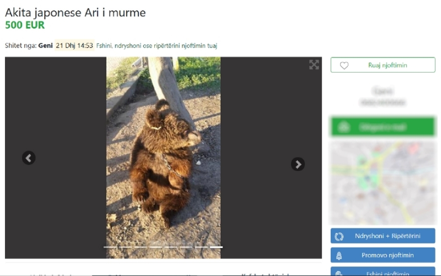 Αλβανία: Λαθρέμποροι πωλούν άγρια ζώα με online αγγελίες