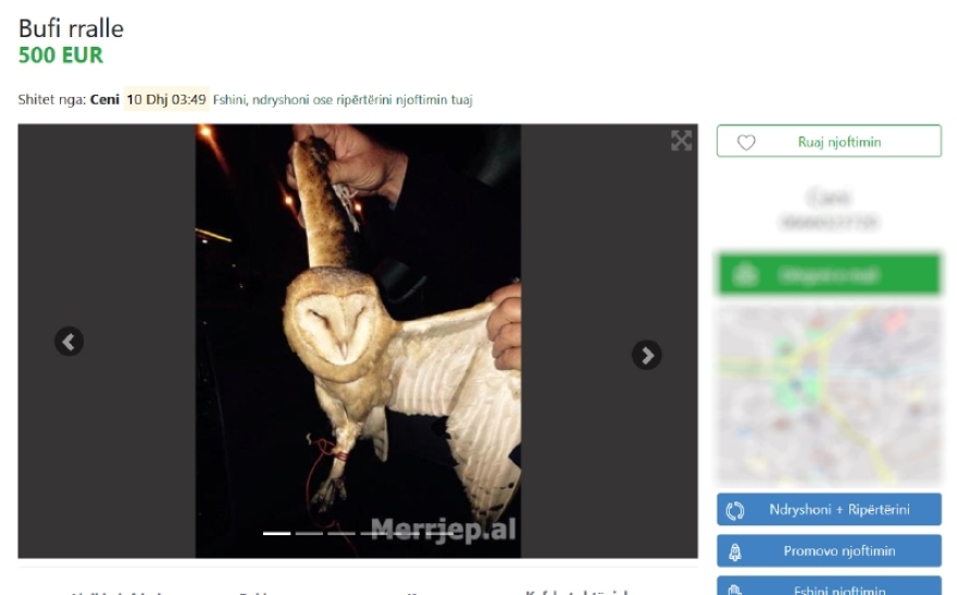 Αλβανία: Λαθρέμποροι πωλούν άγρια ζώα με online αγγελίες