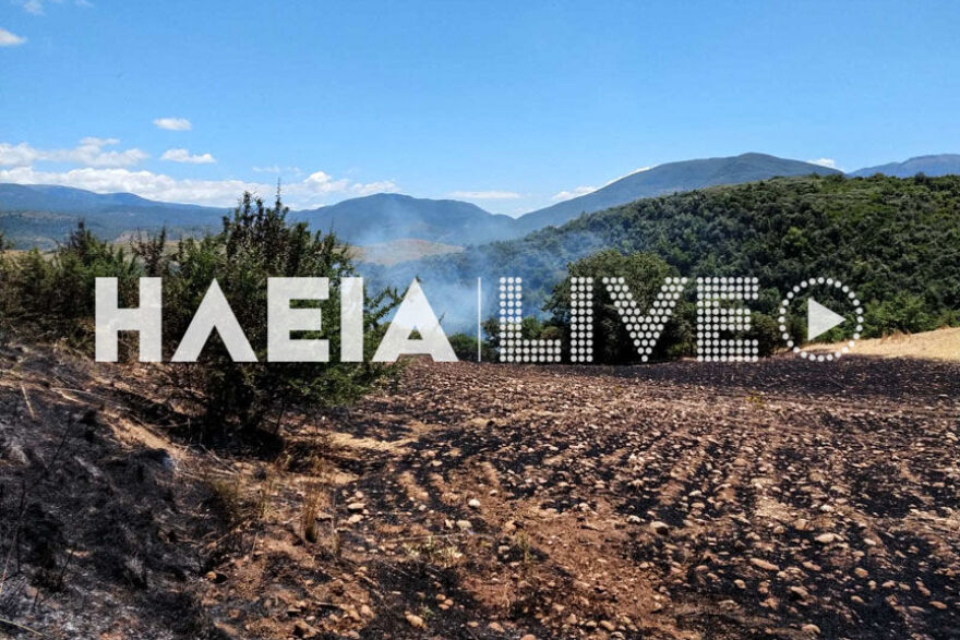 Φωτιά σε δασική έκταση στην Ηλεία: Υπό μερικό έλεγχο, σύμφωνα με την Πυροσβεστική
