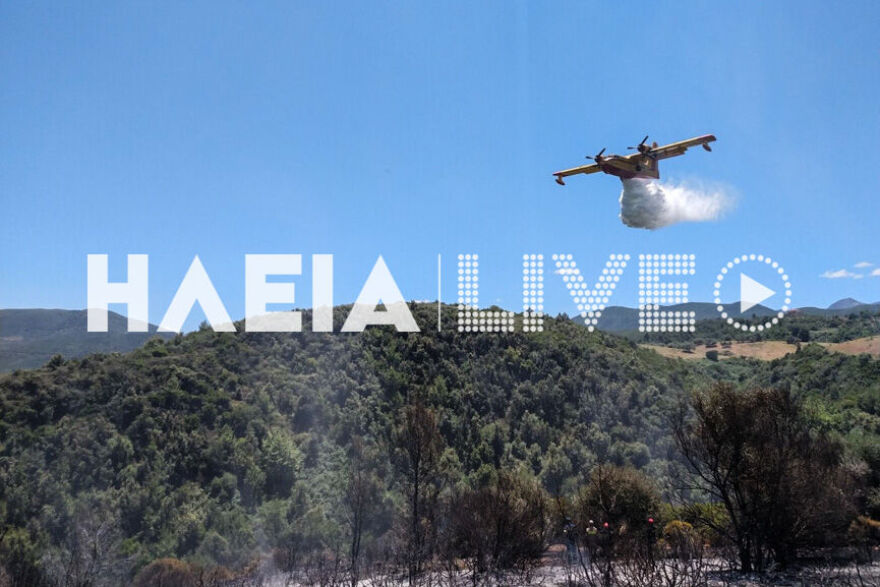 Φωτιά σε δασική έκταση στην Ηλεία: Υπό μερικό έλεγχο, σύμφωνα με την Πυροσβεστική