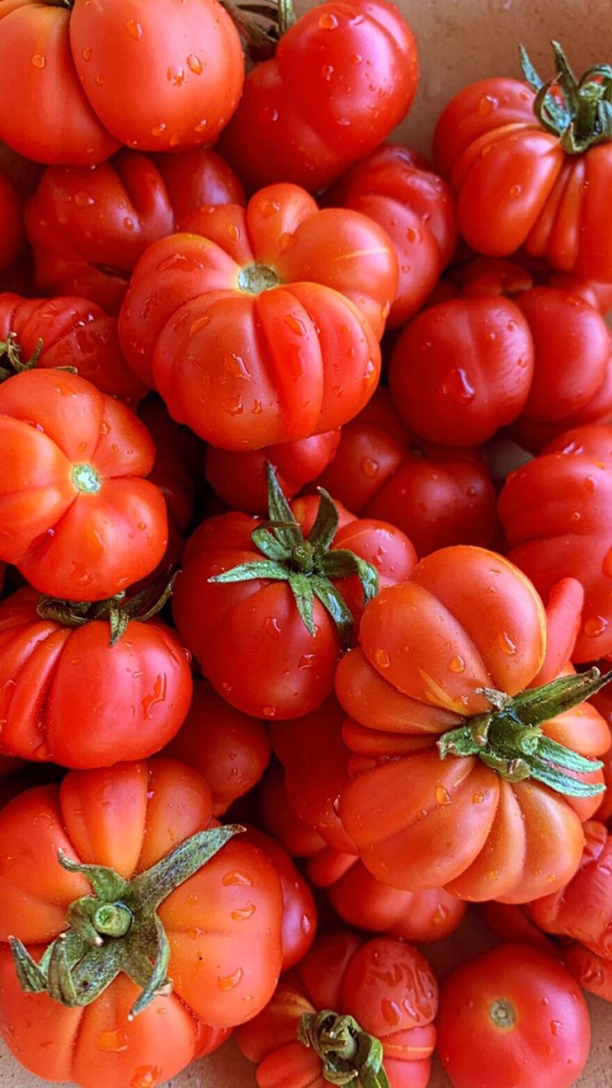 Μαρέβα Μητσοτάκη & Τζένη Μπαλατσινού: Φωτογραφία με φόντο το ηλιοβασίλεμα της Σαντορίνης