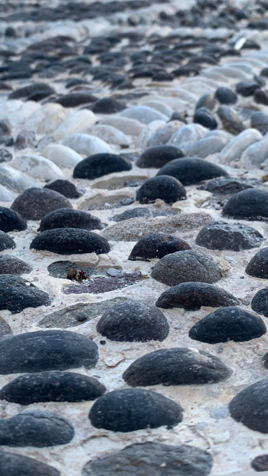Μαρέβα Μητσοτάκη & Τζένη Μπαλατσινού: Φωτογραφία με φόντο το ηλιοβασίλεμα της Σαντορίνης