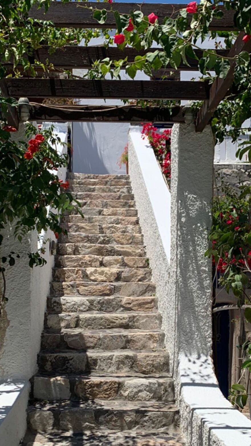 Μαρέβα Μητσοτάκη & Τζένη Μπαλατσινού: Φωτογραφία με φόντο το ηλιοβασίλεμα της Σαντορίνης