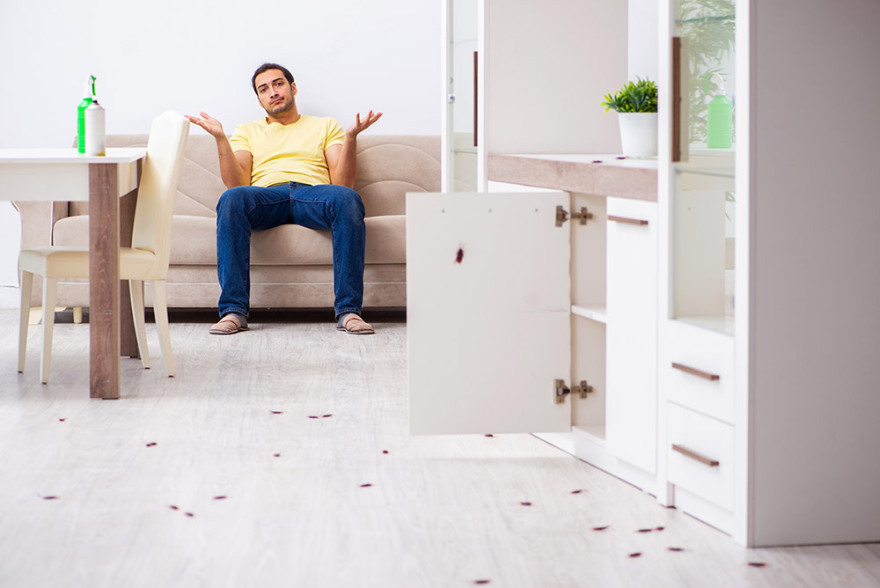 Κλείστε τα ζωύφια απέξω!