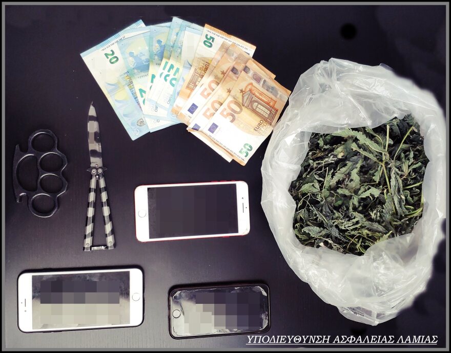 Φθιώτιδα: Εργαστήριο με 117 φυτά κάνναβης και όπλα 