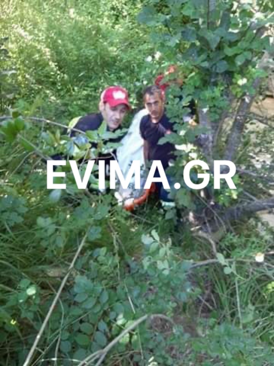 Εύβοια: Τρακτέρ έπεσε σε γκρεμό 50 μέτρων – Νεκρός ο οδηγός