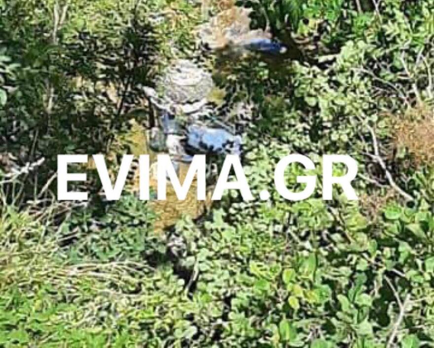 Εύβοια: Τρακτέρ έπεσε σε γκρεμό 50 μέτρων – Νεκρός ο οδηγός