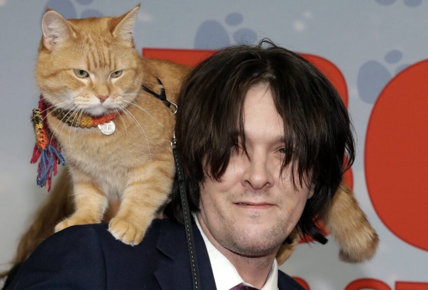 Πέθανε ο «γάτος που τον έλεγαν Μπομπ» και είχε «σώσει» τον τοξικομανή ιδιοκτήτη του