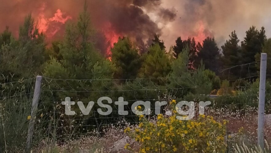 Υπό έλεγχο η φωτιά στο Μαρτίνο: Σε επιφυλακή για διάσπαρτες εστίες - Υπόνοιες για εμπρησμό