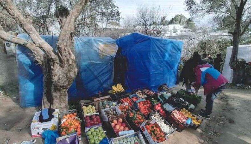 Σοκάρουν οι φωτογραφίες από τη Μόρια: Υγειονομική βόμβα με νεκρά ζώα, σκουπίδια και λύματα 