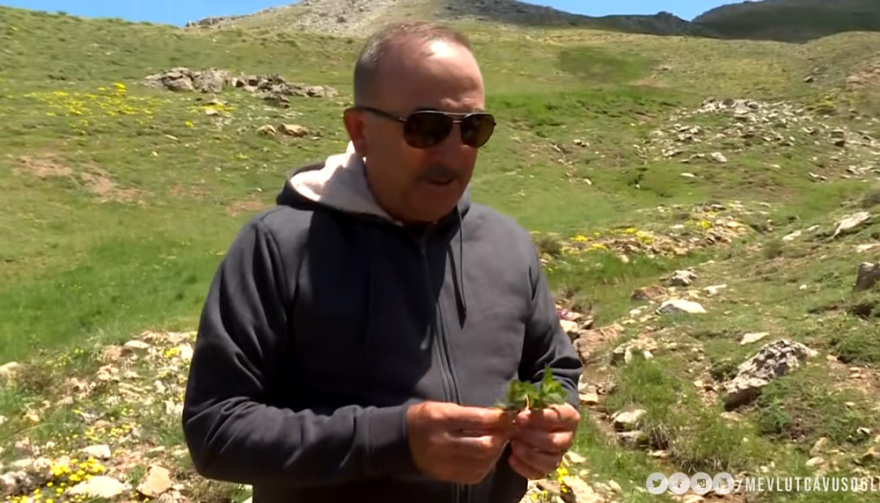 Τσαβούσογλου: Ο «λύκος» στην... Αλάνια φυλάει πρόβατα 