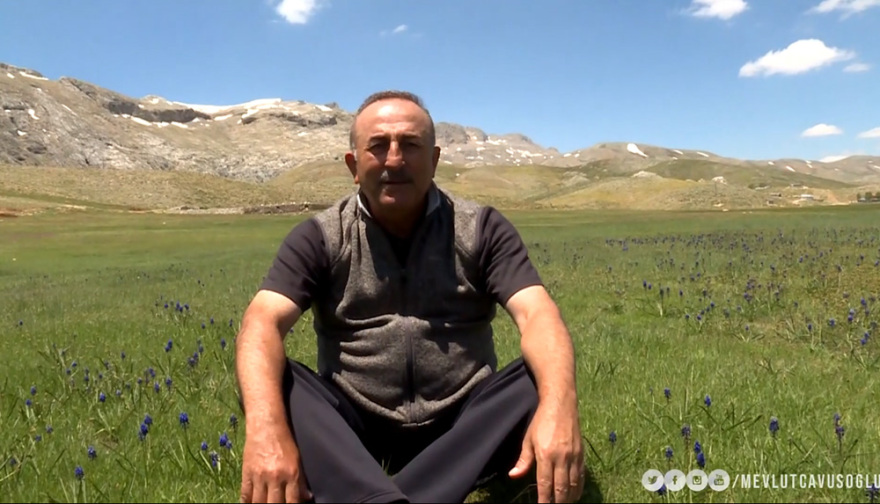 Τσαβούσογλου: Ο «λύκος» στην... Αλάνια φυλάει πρόβατα 