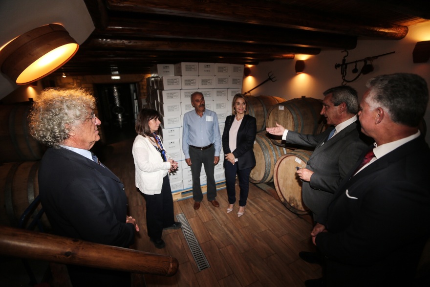 Επίτιμη δημότης Λειψών ανακηρύχθηκε η Κατερίνα Σακελλαροπούλου