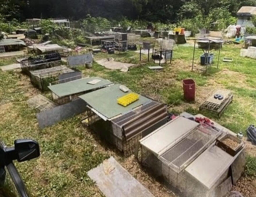 Φρίκη στις ΗΠΑ: «Μητέρα» άφησε το μωρό της σε σιδερένιο κλουβί ανάμεσα σε φίδια και ποντίκια