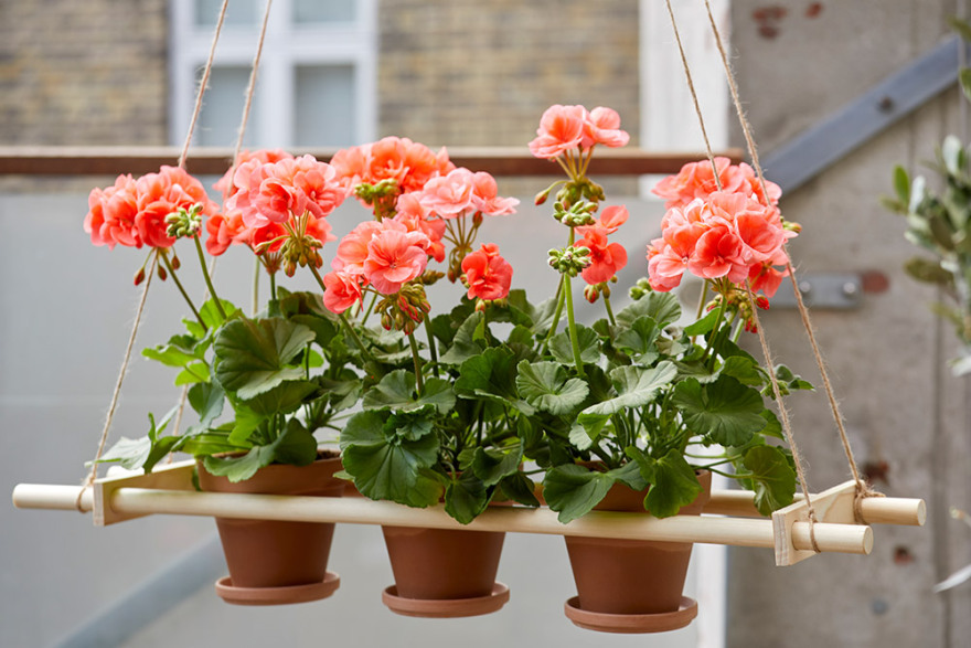 DIY κατασκευές με γεράνια σε γλάστρες