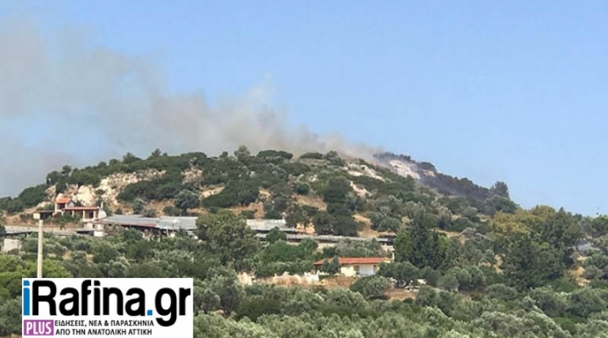 Πυρκαγιά σε δασική έκταση στα Σπάτα - Μεγάλη κινητοποίηση της Πυροσβεστικής