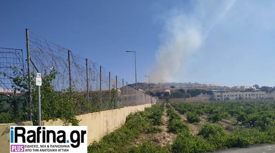 Πυρκαγιά σε δασική έκταση στα Σπάτα - Μεγάλη κινητοποίηση της Πυροσβεστικής