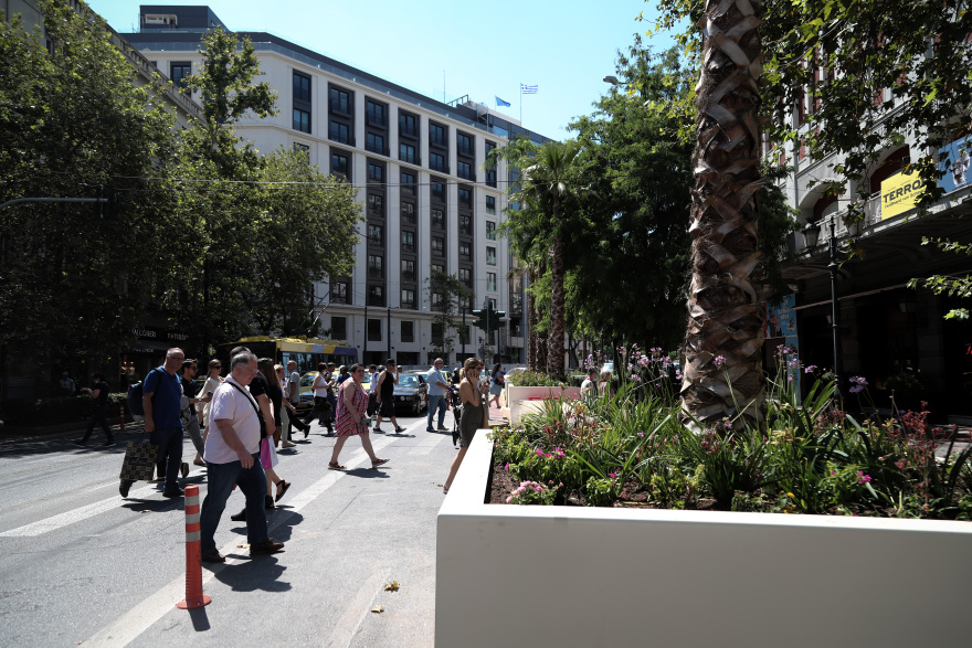 Μεγάλος Περίπατος: Φοίνικες κοσμούν την Πανεπιστημίου - Φωτογραφίες 