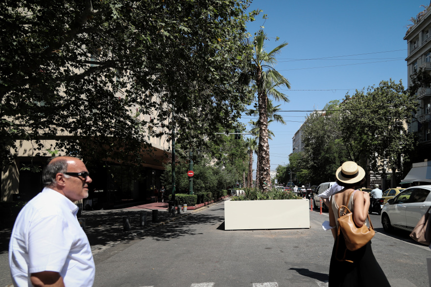 Μεγάλος Περίπατος: Φοίνικες κοσμούν την Πανεπιστημίου - Φωτογραφίες 