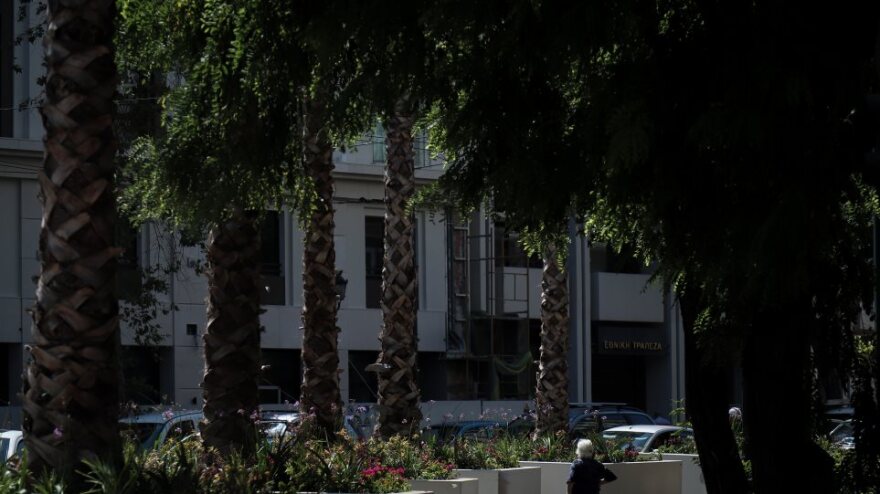 Μεγάλος Περίπατος: Οι φοίνικες στην Αθήνα τον 19ο αιώνα και η επιστροφή τους