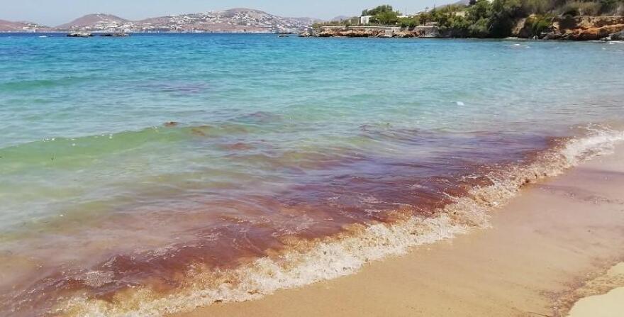 Ναυάγιο Σάμινα: Ρυπαίνει την Πάρο με πίσσα και μαζούτ 20 χρόνια μετά - Δείτε βίντεο