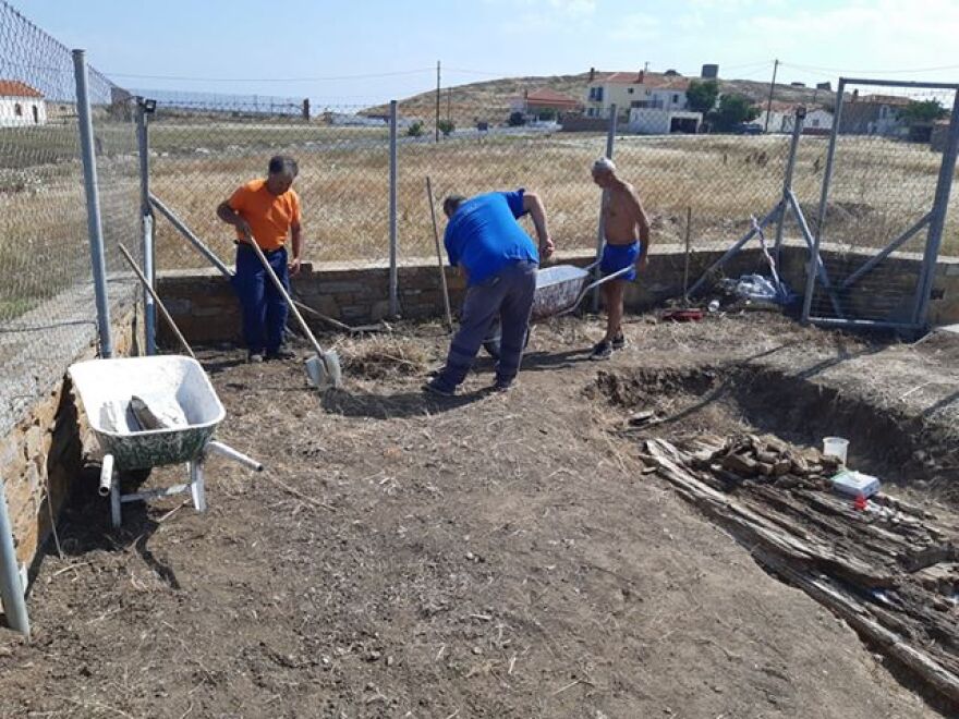 Βρέθηκε γιγαντιαίος κορμός απολιθωμένου δένδρου στη Λήμνο - Δείτε φωτογραφίες