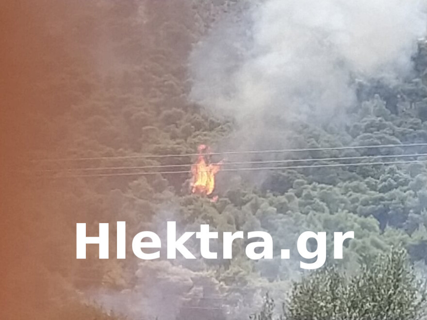 Πυρκαγιά στις Κεχριές Κορινθίας: Εκκενώθηκε παιδική κατασκήνωση