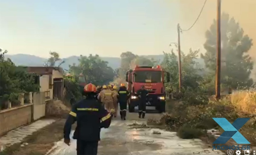 Φωτιά στις Σάπες Ροδόπης: Περιορίστηκε σε δασική έκταση και μακριά από κατοικημένη περιοχή
