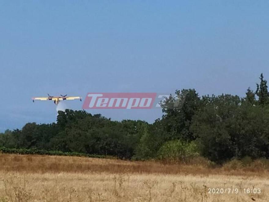 Φωτιά στην Κάτω Αχαΐα