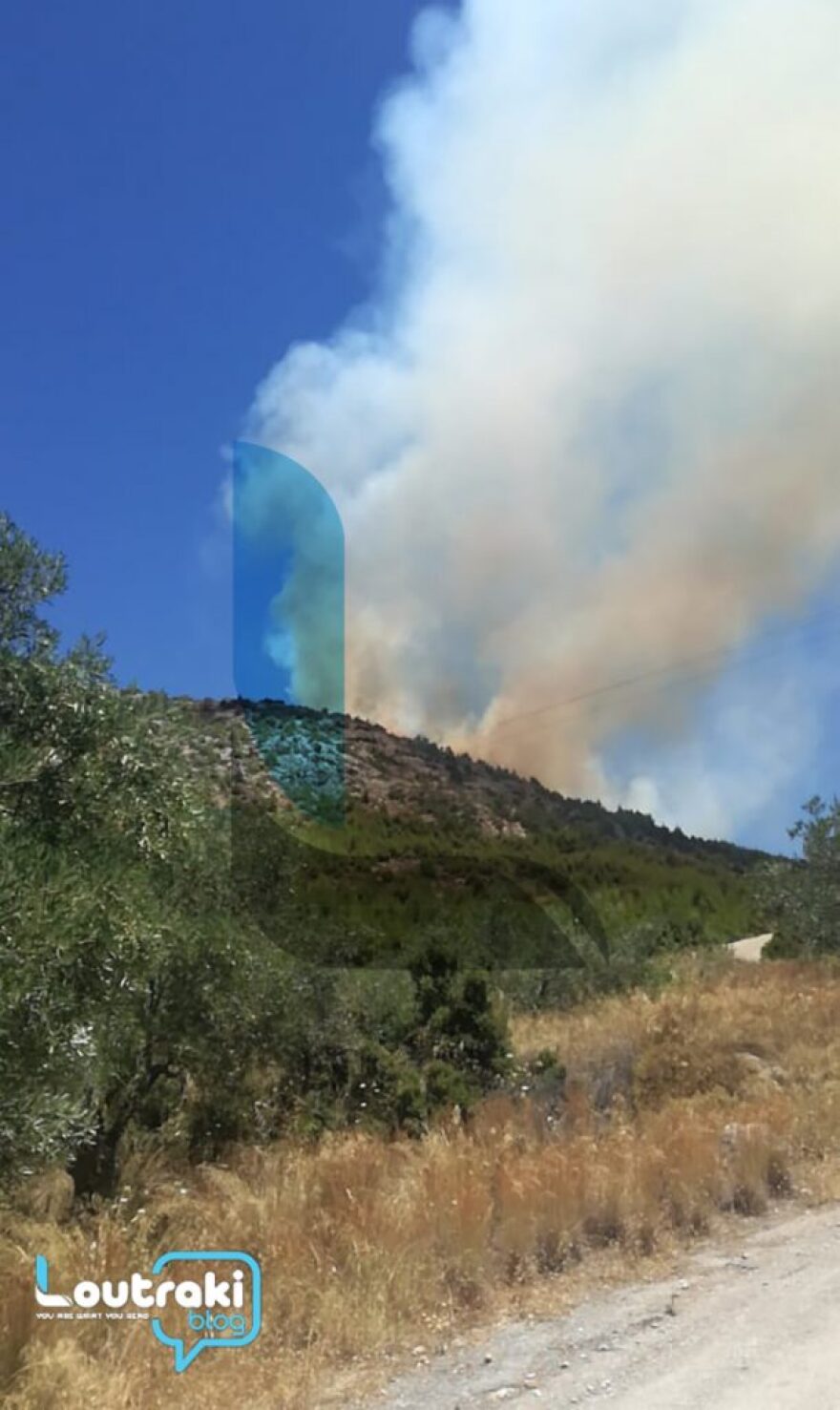 Μεγάλη φωτιά σε δασική έκταση στο Λουτράκι - Δείτε βίντεο και φωτογραφίες