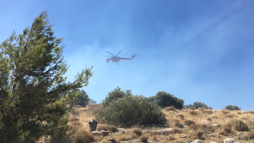 Φωτιά στη Βάρη: Σε ύφεση το μέτωπο - Εκκενώθηκαν τα χωριά SOS και γηροκομείο - Δείτε βίντεο