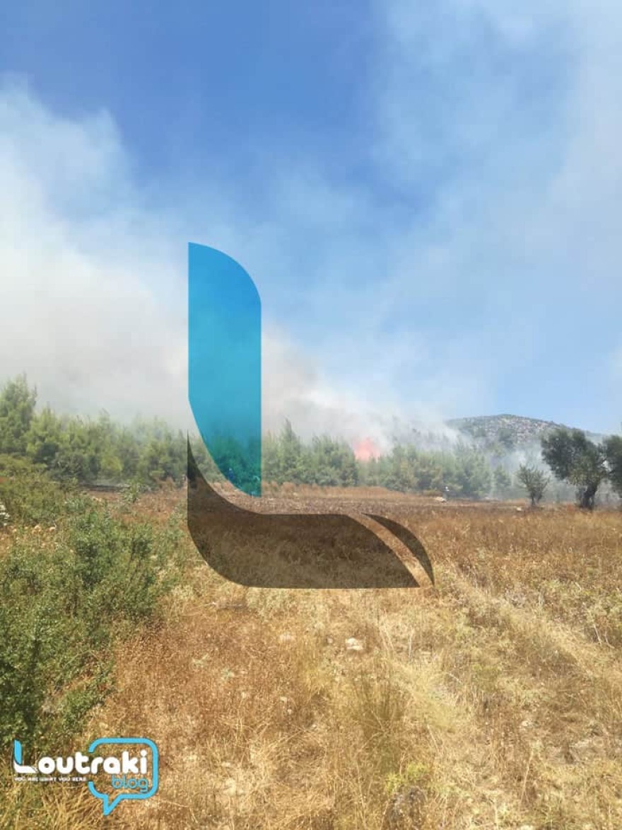 Μεγάλη φωτιά σε δασική έκταση στο Λουτράκι - Δείτε βίντεο και φωτογραφίες