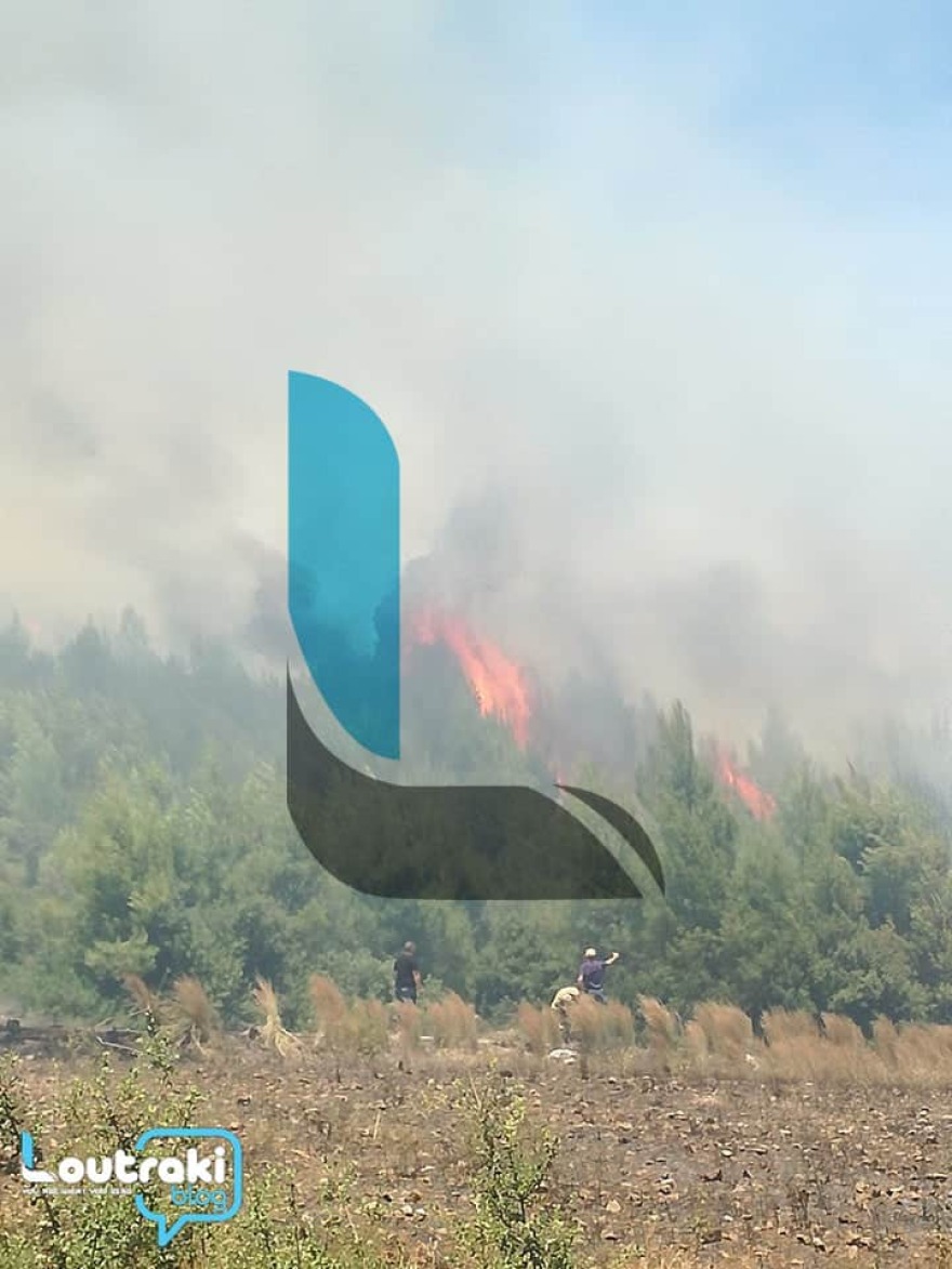 Μεγάλη φωτιά σε δασική έκταση στο Λουτράκι - Δείτε βίντεο και φωτογραφίες