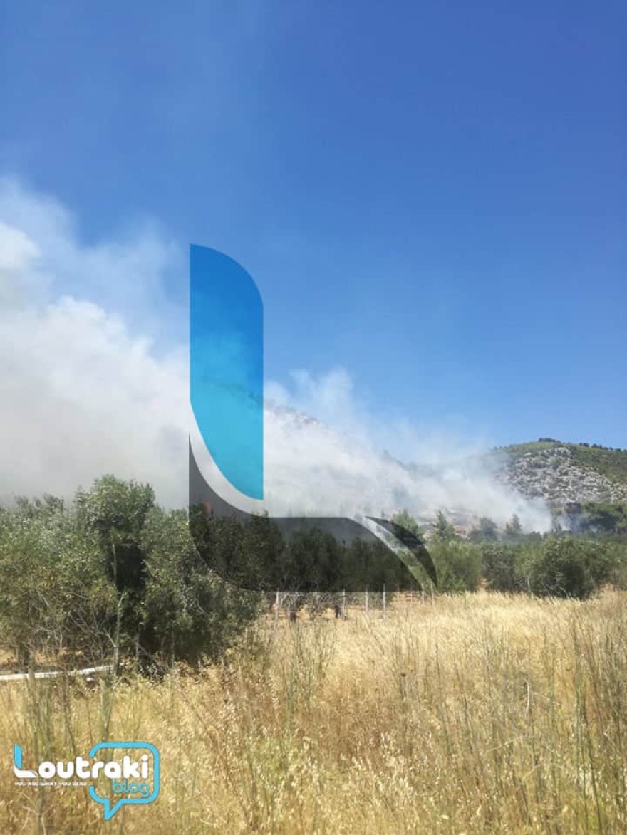 Μεγάλη φωτιά σε δασική έκταση στο Λουτράκι - Δείτε βίντεο και φωτογραφίες