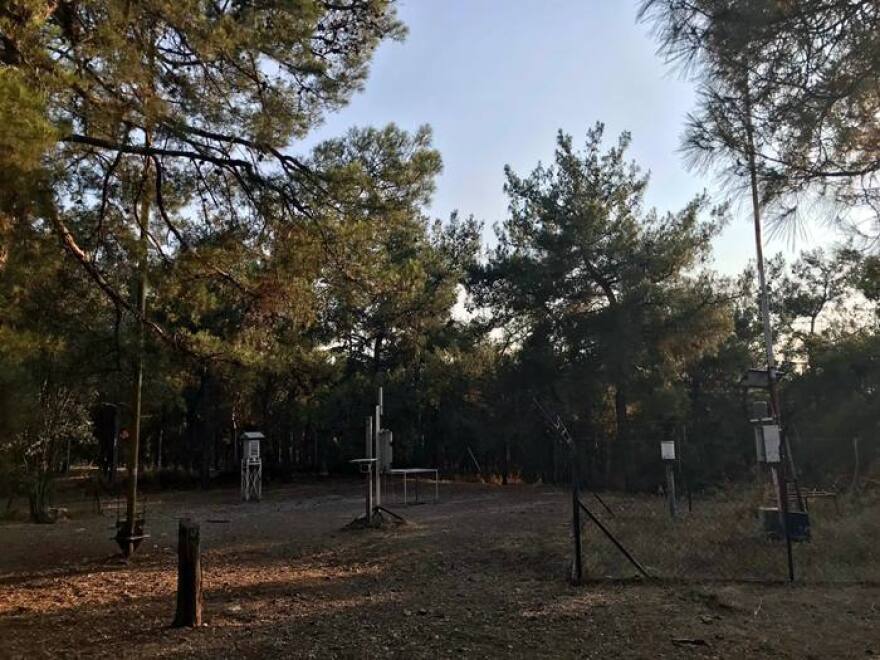 Άλσος Νέας Φιλαδέλφειας: Ένας θησαυρός στη καρδιά της πόλης