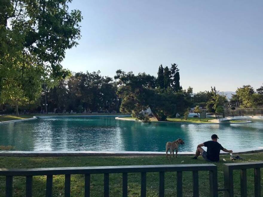 Άλσος Νέας Φιλαδέλφειας: Ένας θησαυρός στη καρδιά της πόλης