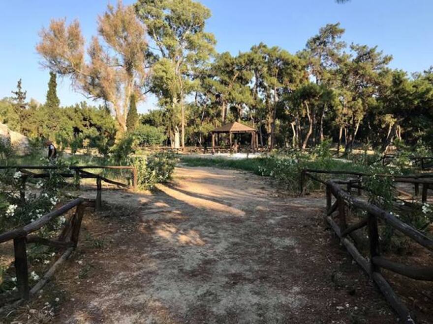 Άλσος Νέας Φιλαδέλφειας: Ένας θησαυρός στη καρδιά της πόλης