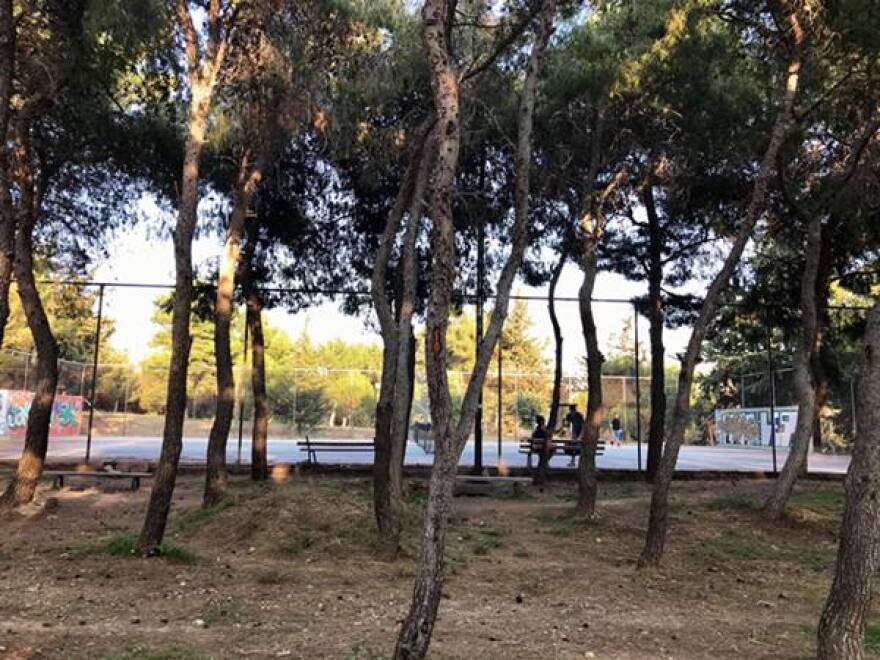 Άλσος Νέας Φιλαδέλφειας: Ένας θησαυρός στη καρδιά της πόλης