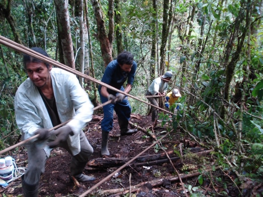 Ο τουρισμός αλλιώς: Ταξιδεύοντας για σεξ, πειράματα, ευθανασία... 